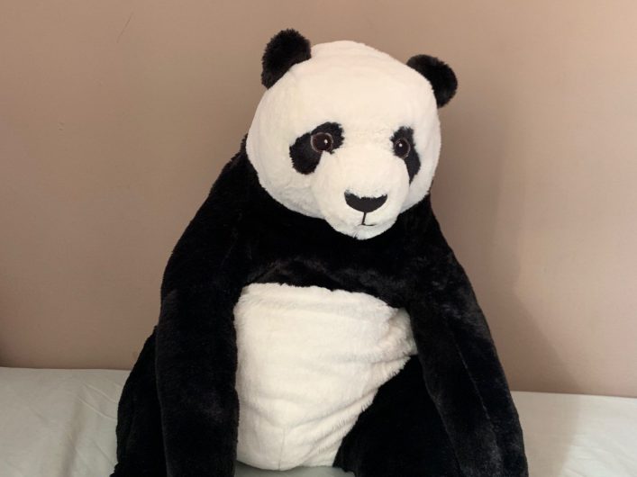 Companion Panda